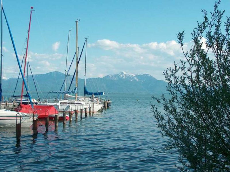 Holidays on the farm at the Chiemsee