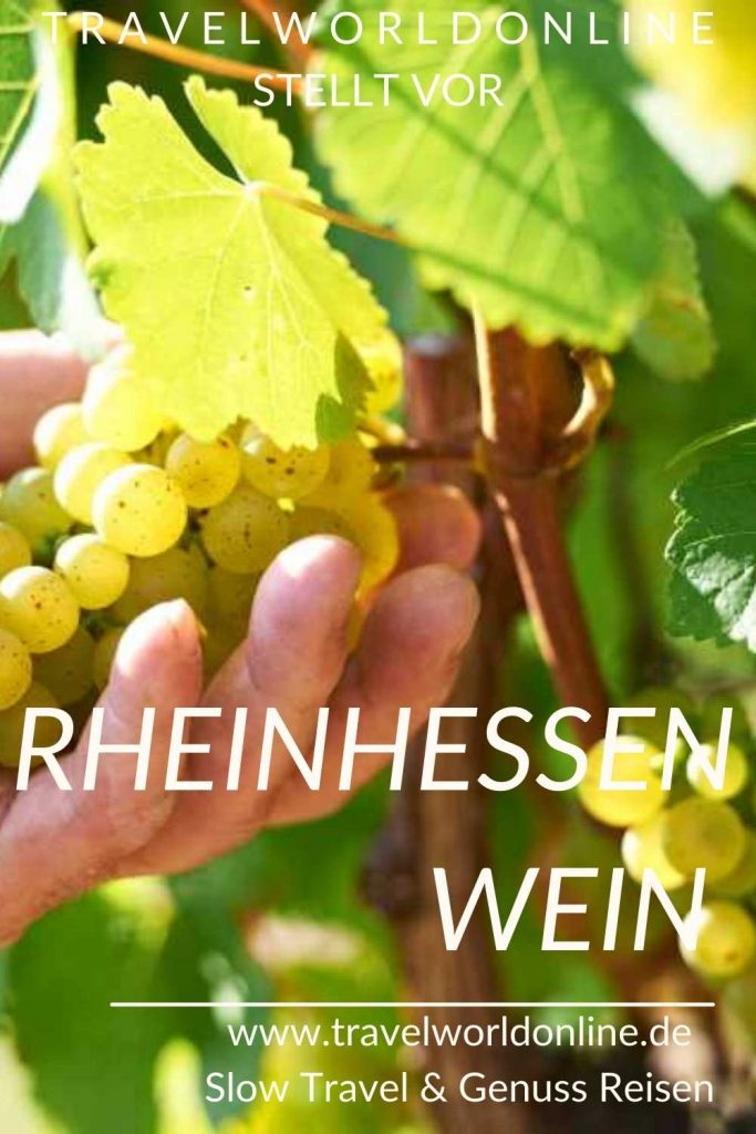 Rheinhessen wine photo: