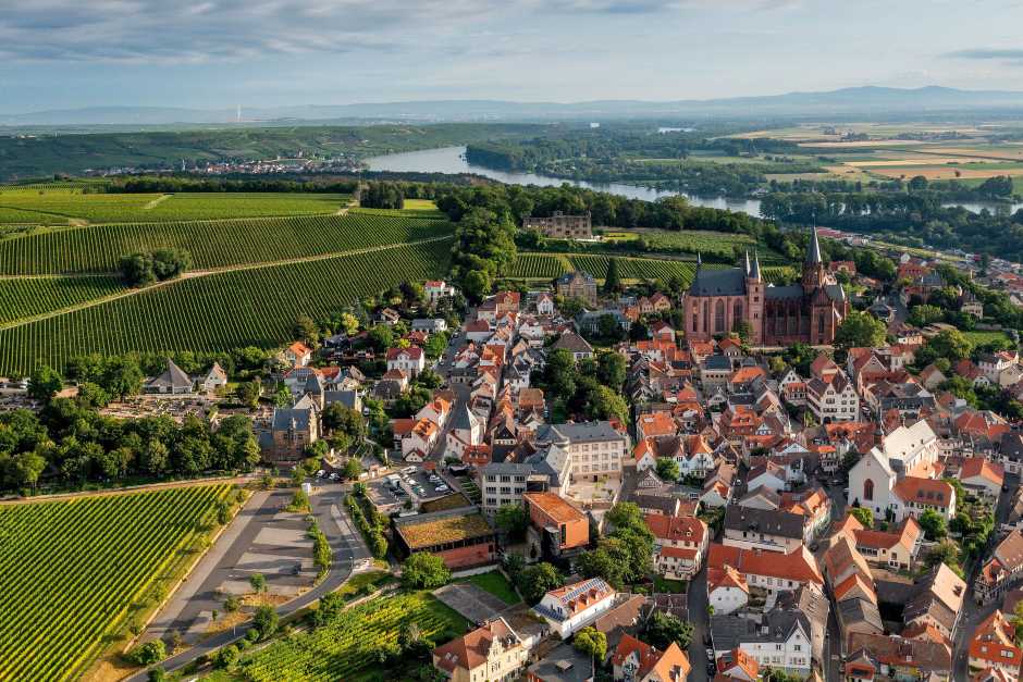 Rheinhessen wine - Rheinhessen wine