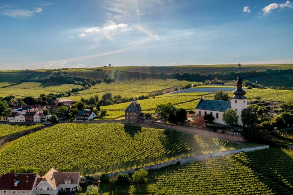 Niersteiner Glöck vineyard Photo: djd / www.rheinhessenwein.de / Torsten Silz