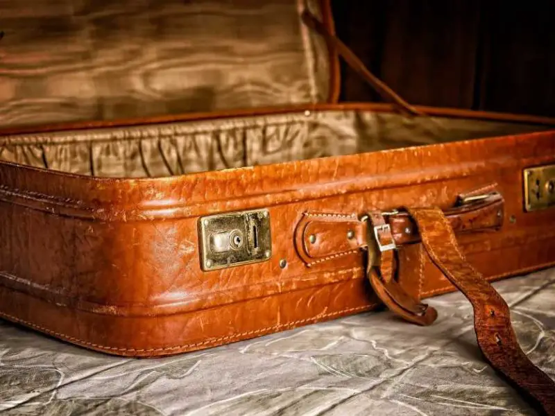 Bag or Trolley? How to Choose the Right Bag for Your Train Ride