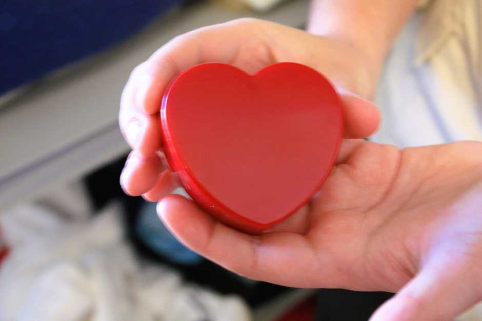 Mother's heart in the turtle sanctuary