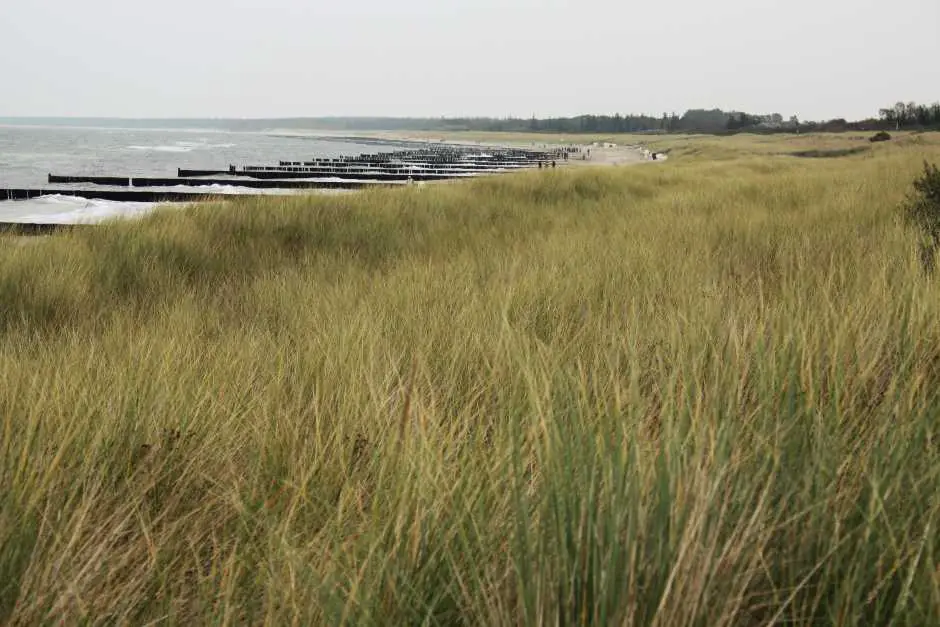 Strand Darß Sehenswürdigkeiten