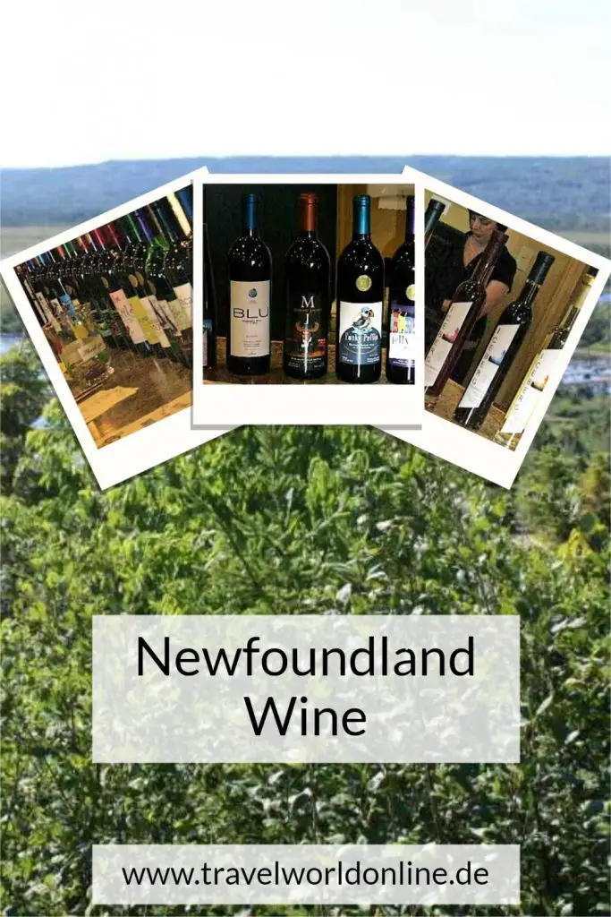 Newfoundland Wine