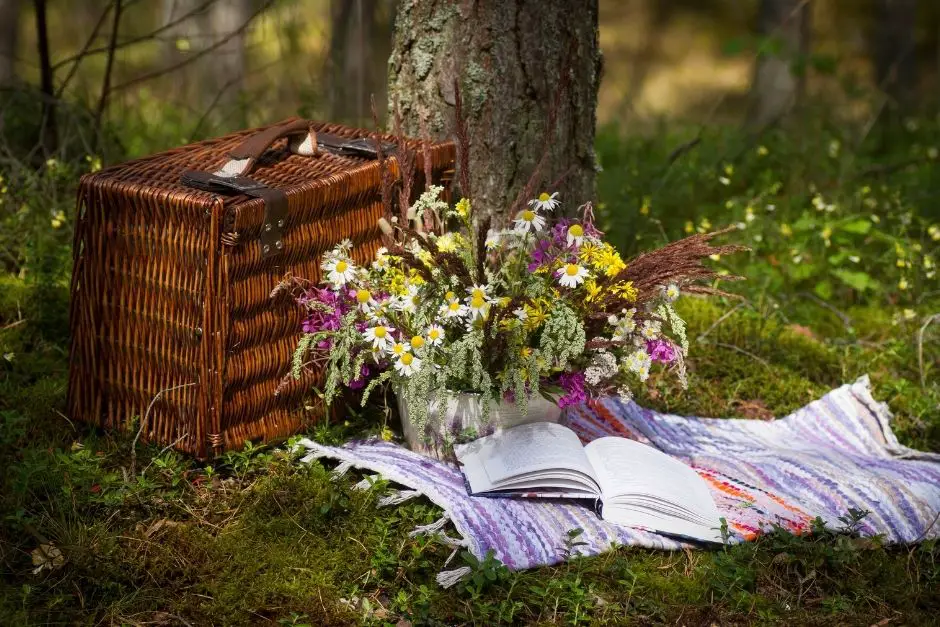 Die schönsten Picknickplätze in Deutschland