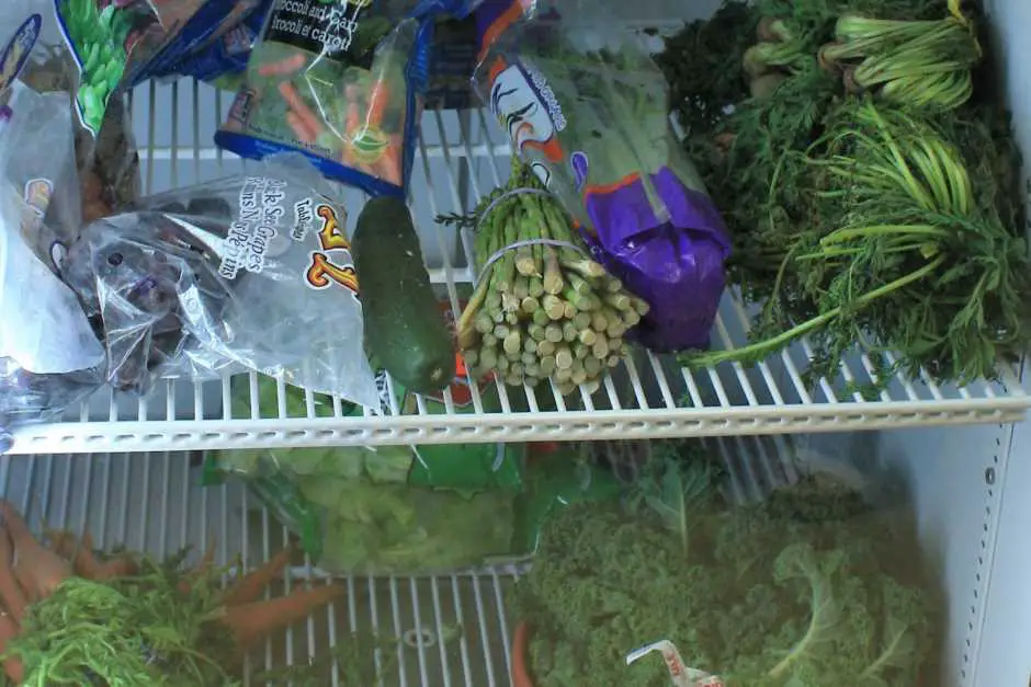 Salatspenden für die Schildkröten Auffangstation
