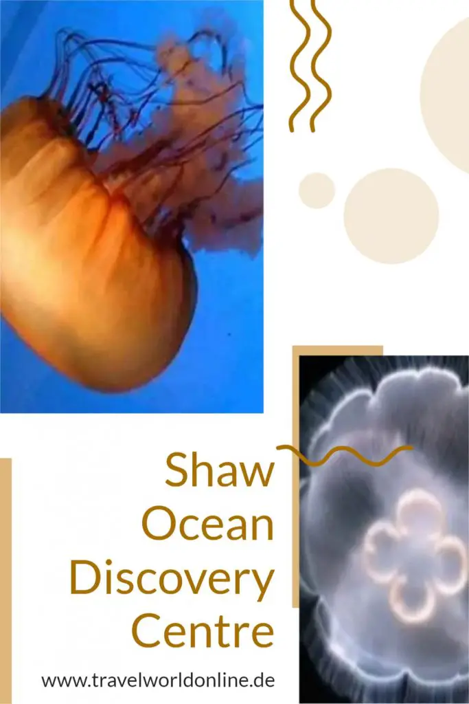 Shaw Ocean Discovery Centre