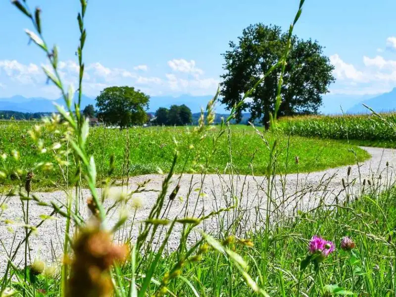 Hiking in the Chiemgau