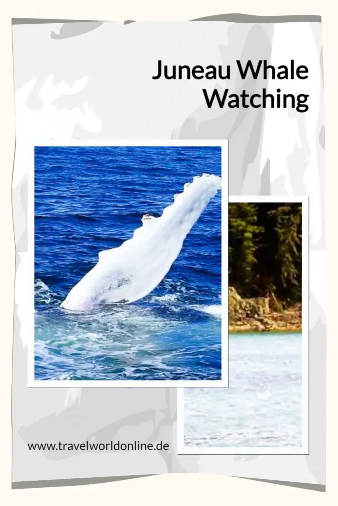 Juneau Whale Watching