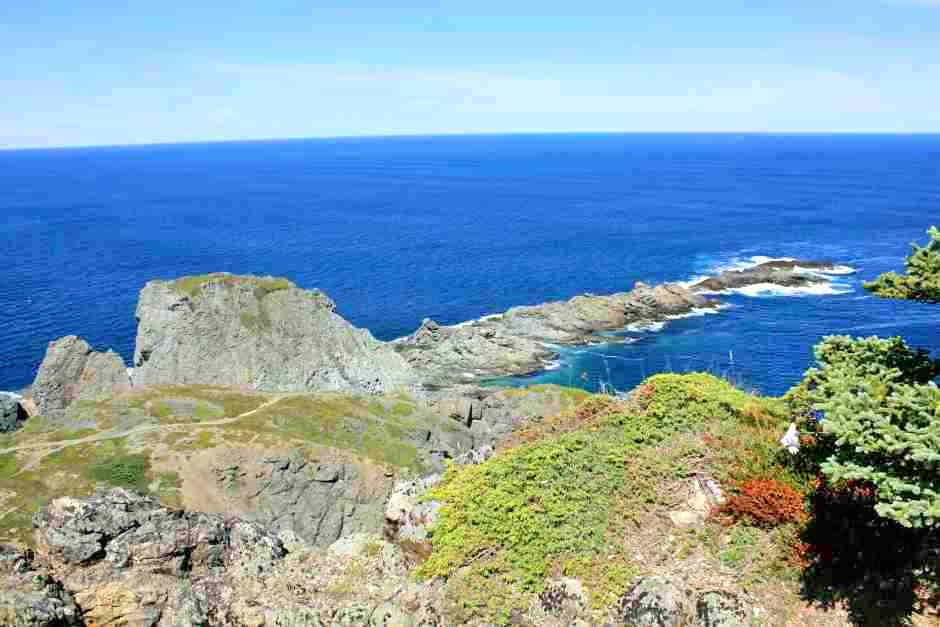 Küstenweg in Neufundland