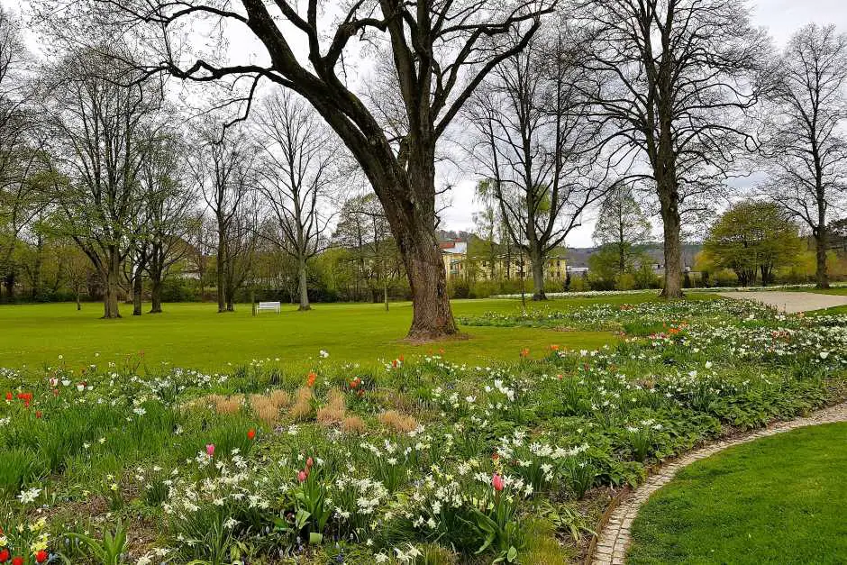 Bad Driburg Gräflicher Park im Frühling