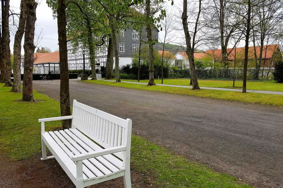 Tree avenues in the landscape park