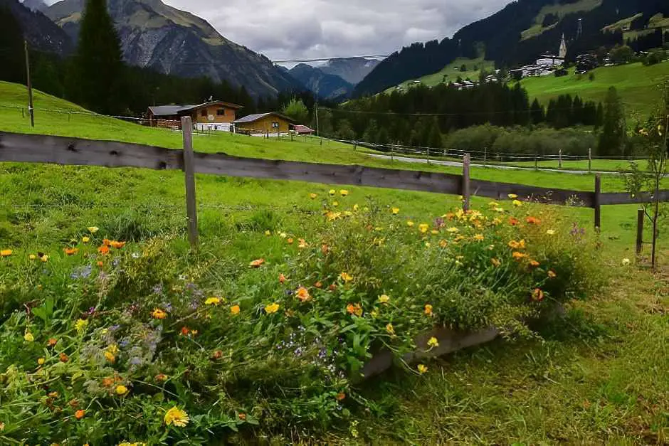 Flowers as ornament and bee attraction in the permaculture garden in Kleinwalsertal