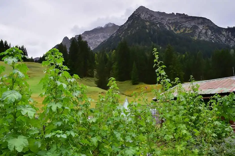 Permaculture Garden Kleinwalsertal