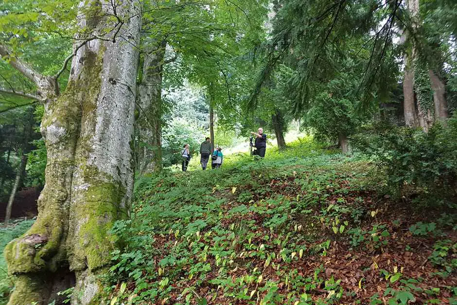 Lilienfeld Abbey Hiking - Muckenkogel & Klosteralm