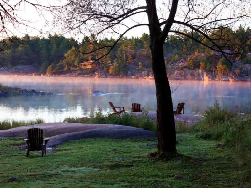 Ontario Seen Wälder Bären