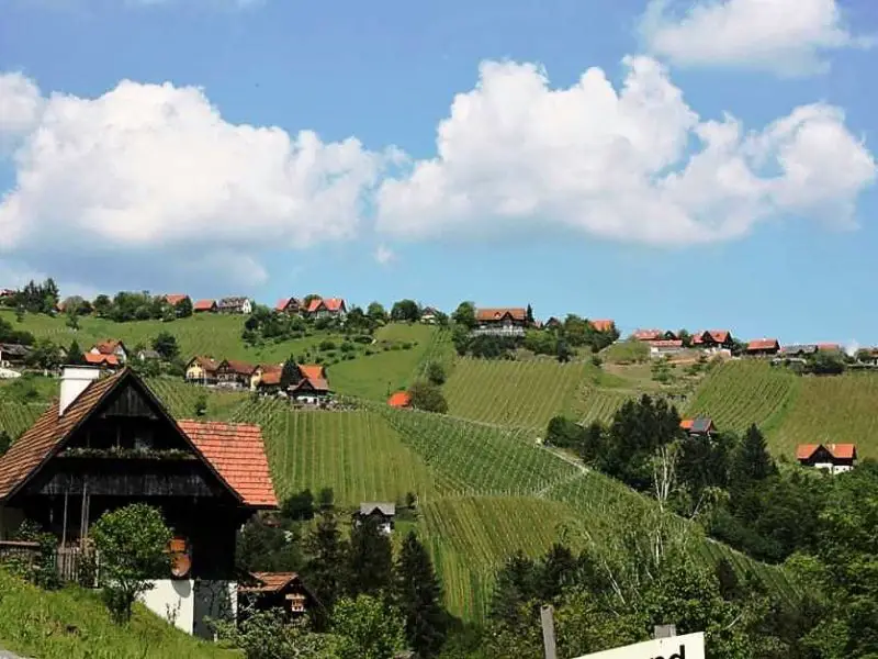 Steiermark Tour an der Schilcher Weinstrasse