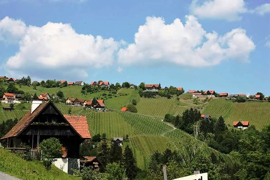 Steiermark Tour an der Schilcher Weinstrasse