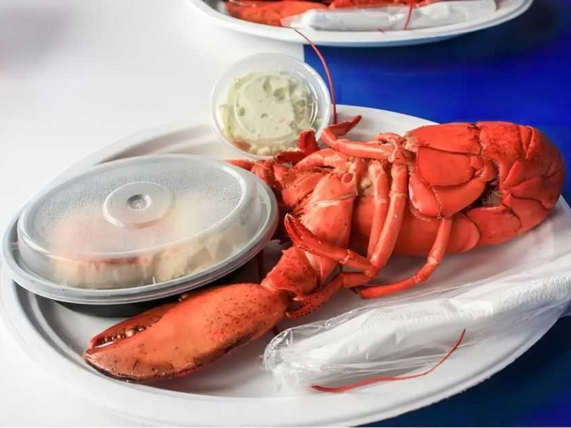 Lobsters eat in Atlantic Canada