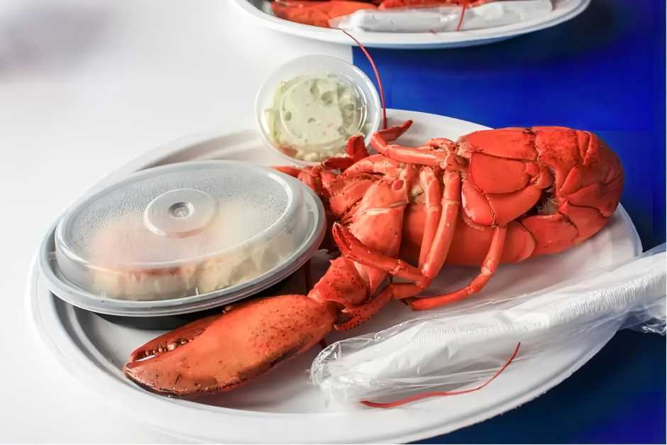 Lobsters eat in Atlantic Canada