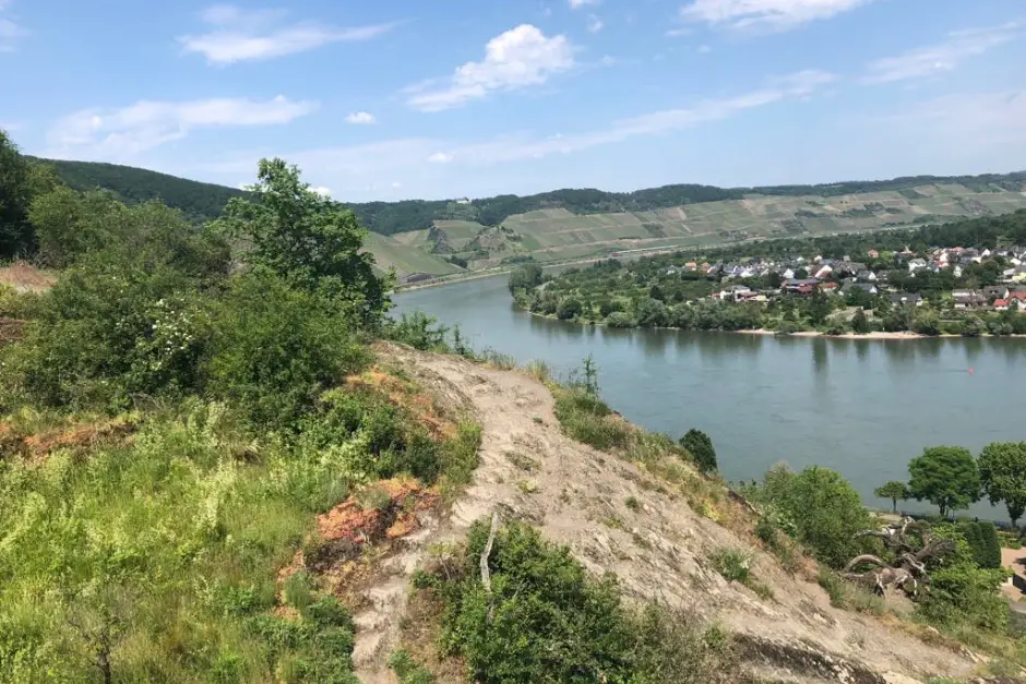 Bei Boppard Wandern am Rhein