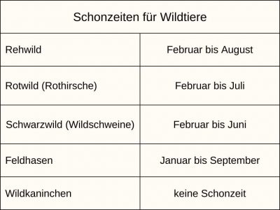 Schonzeiten für Wildtiere