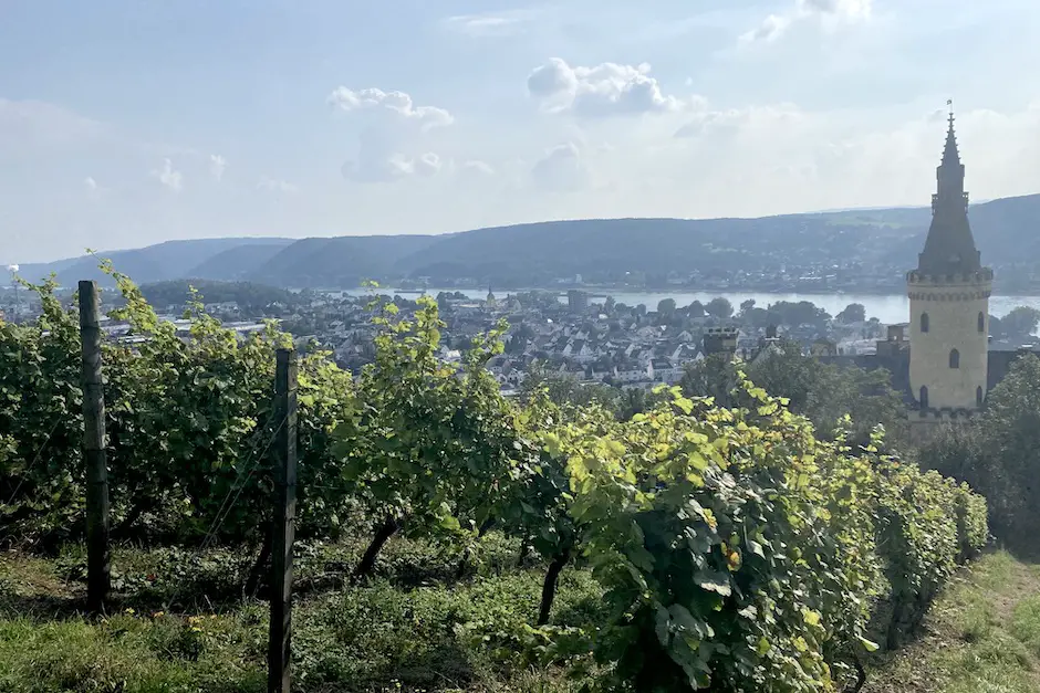 Wandern am Rhein Rheinsteig Kommrum Reisen