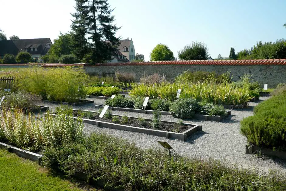 Herb garden near St. Maria and Markus