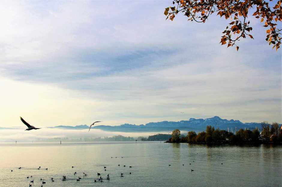 Go on vacation at Lake Constance