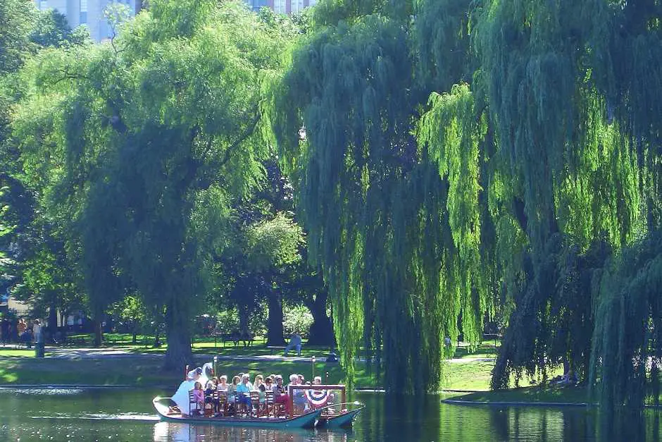 Boston Public Garden