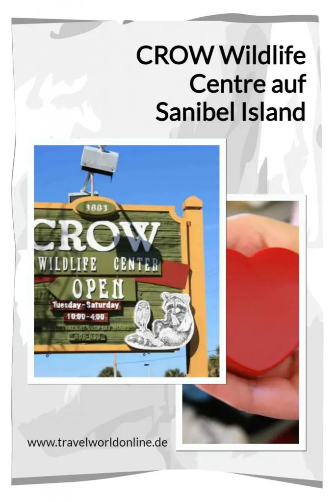 CROW Wildlife Center Sanibel Island