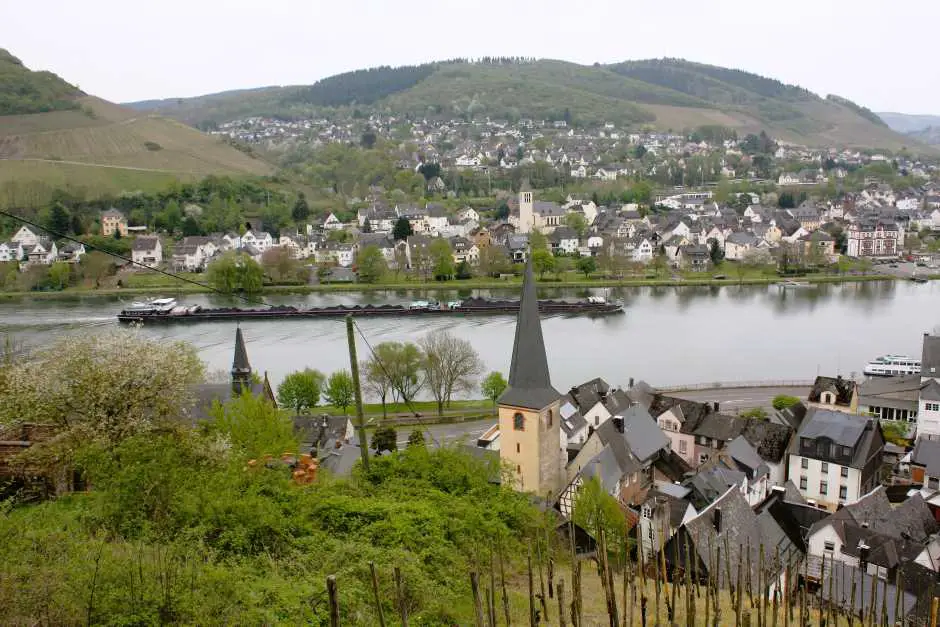 Hiking along the Moselle through the vineyards of Alf