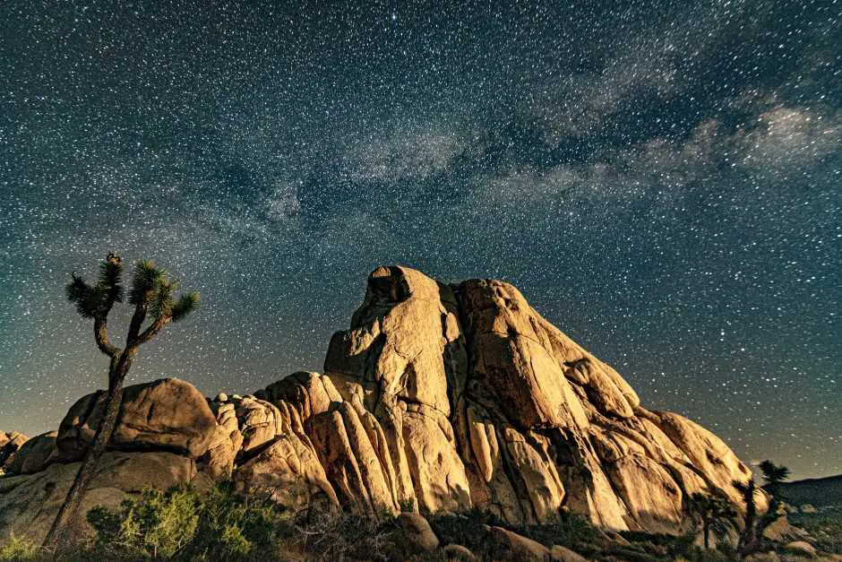 Joshua Tree National Park