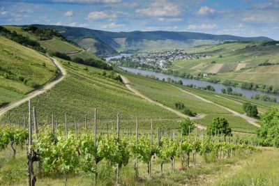 Wandern an der Mosel