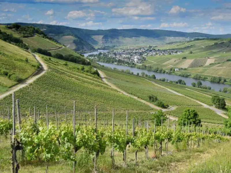 Wandern an der Mosel