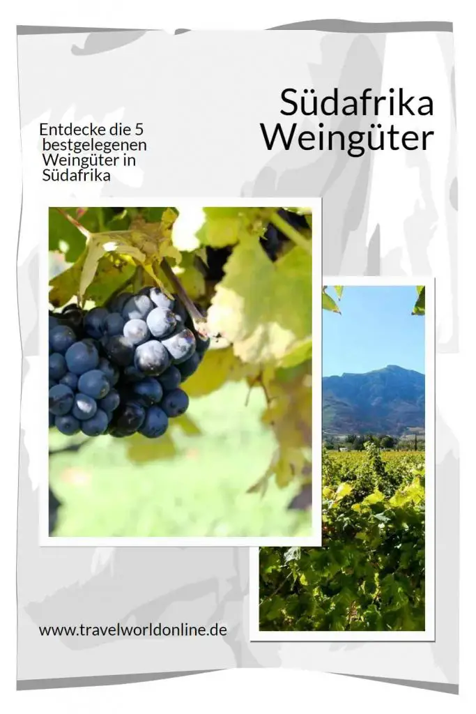 South Africa wineries