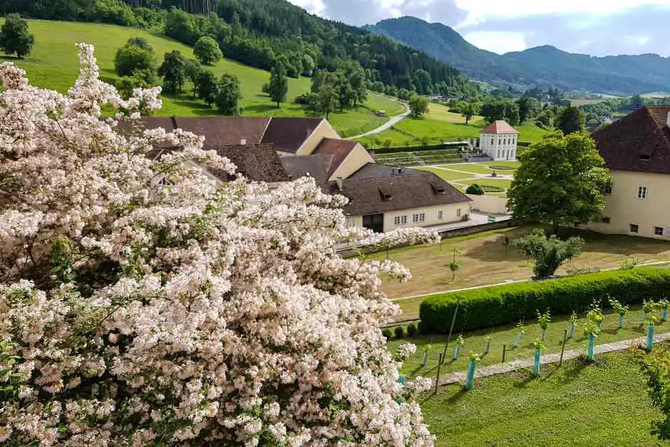 Such is a monastery holiday in the Benedictine Abbey of St Paul in Lavanttal