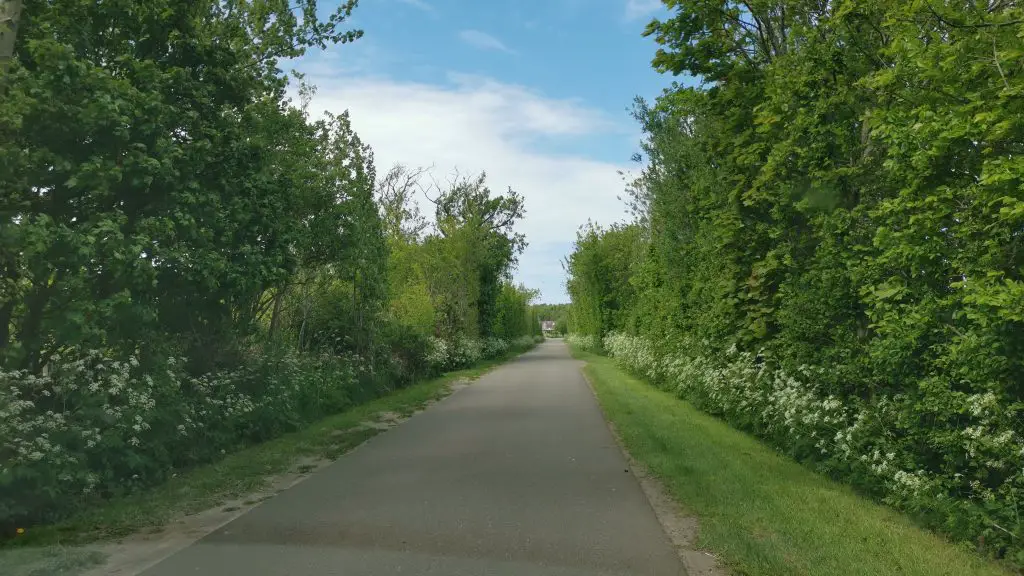 Landstrasse bei Den Hoorn