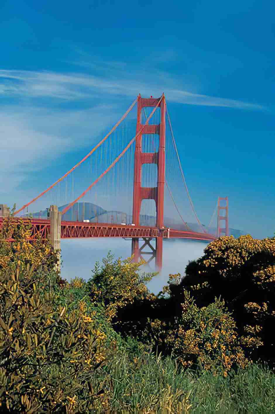 Golden Gate View Point