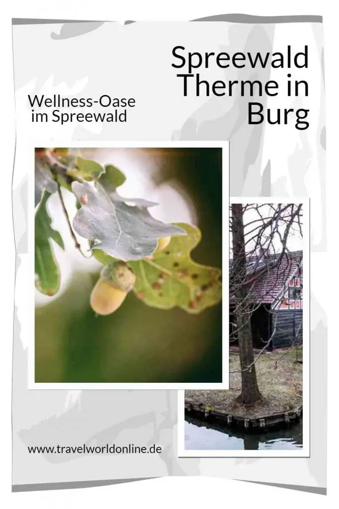 Die Spreewald Therme in Burg