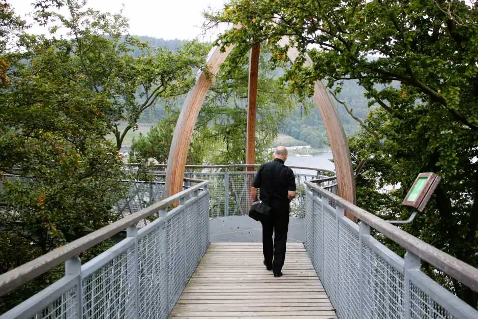 View of the Edersee from the treetop path