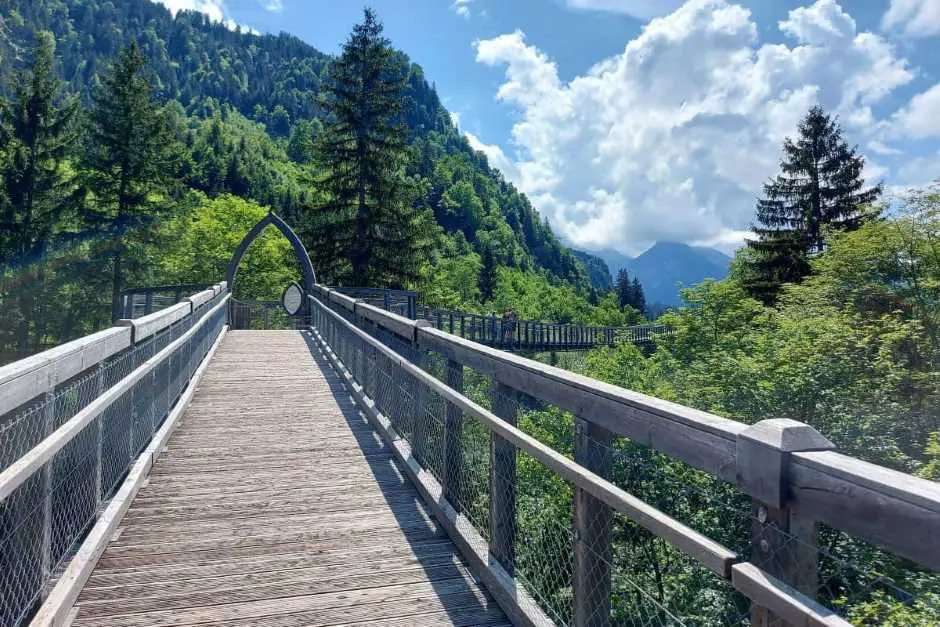 Treetop path in the forest adventure center in Füssen