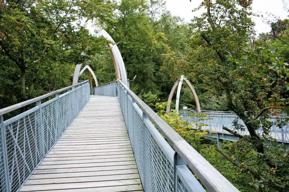 Treetop walks in Germany