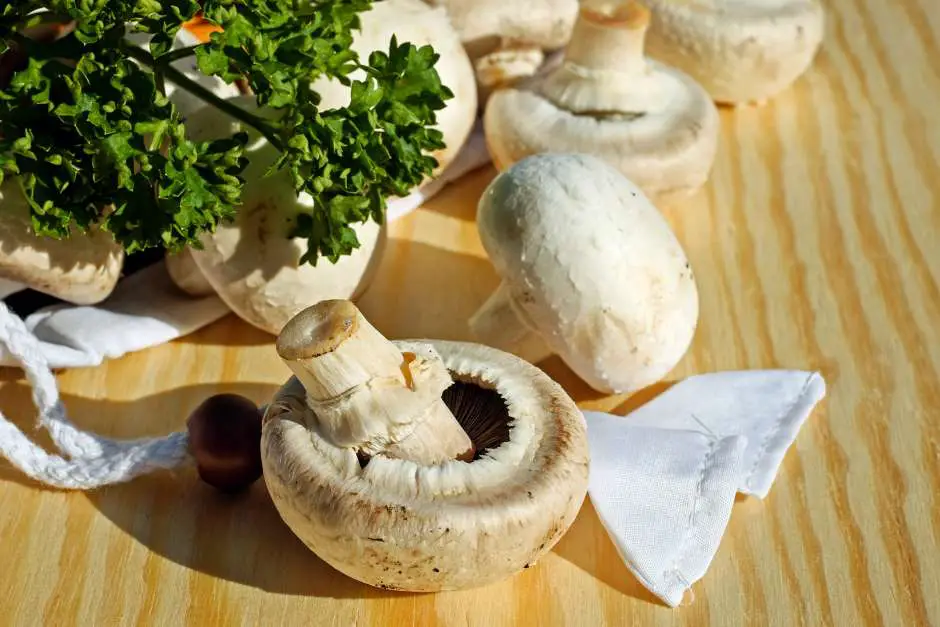 Preparation of the omelette recipe with mushrooms