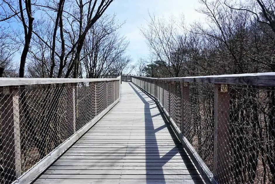 Treetop path Usedom