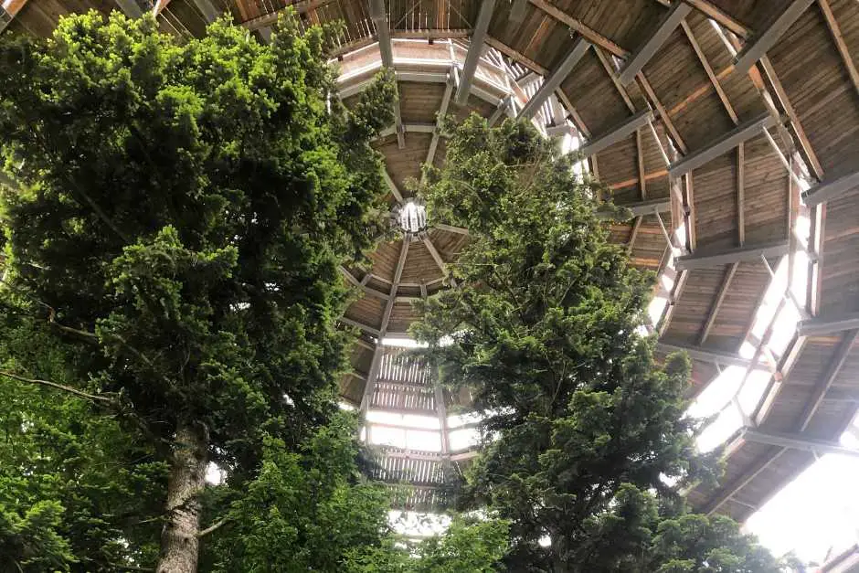 Treetop path in the Bavarian Forest Photo: AhoiundMoinMoin