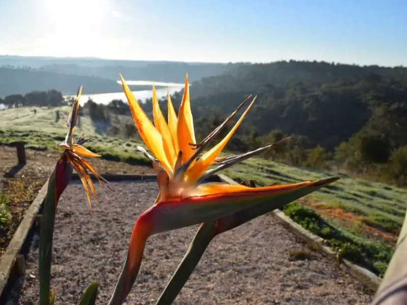 Portugal campsites