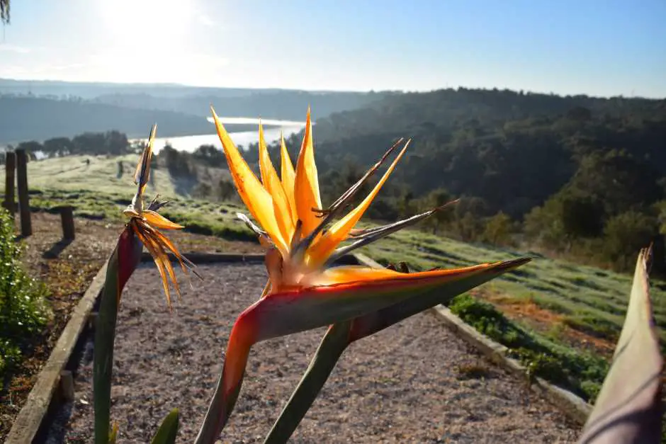 Campsites in Portugal on the Atlantic coast