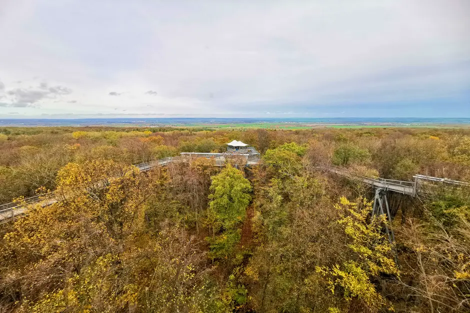 Treetop path Hainich in Thuringia