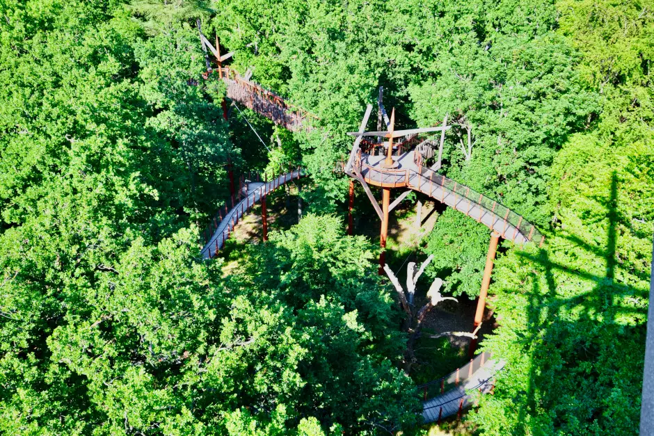 Ivenack treetop path